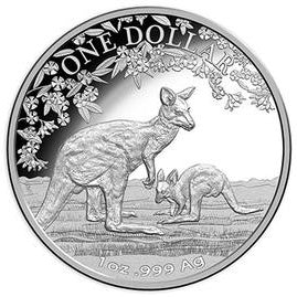 Australian Silver Kangaroos