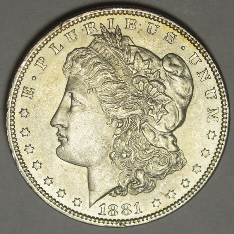 1881 Morgan Dollar . . . . Select Brilliant Uncirculated