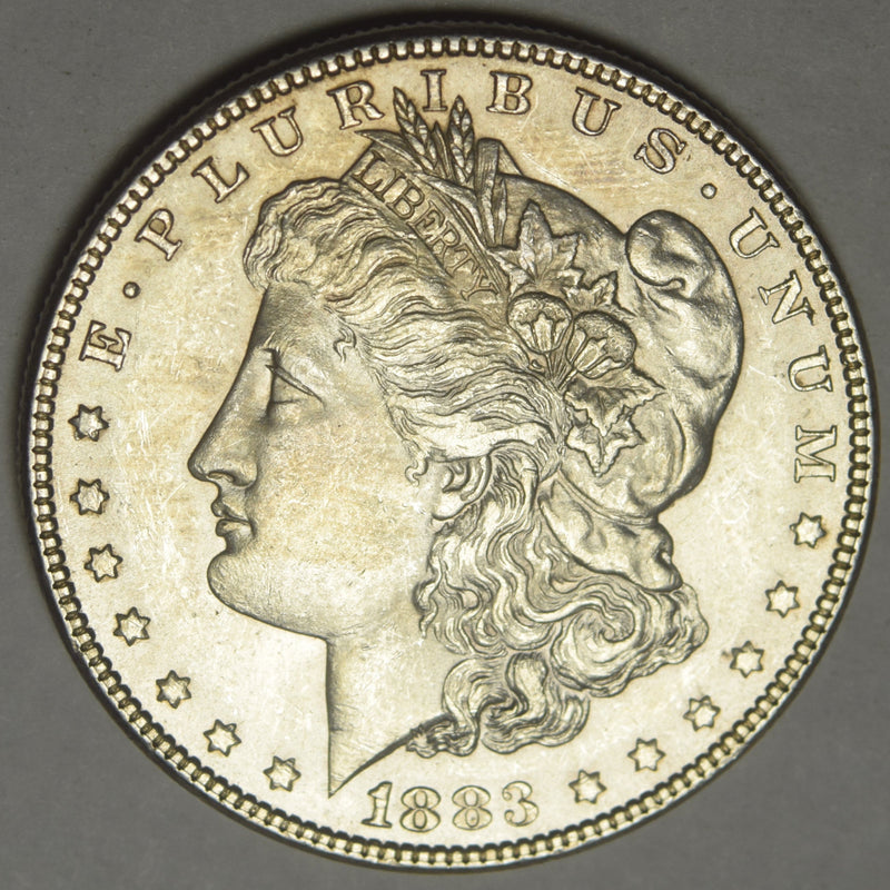 1883 Morgan Dollar . . . . Select Brilliant Uncirculated