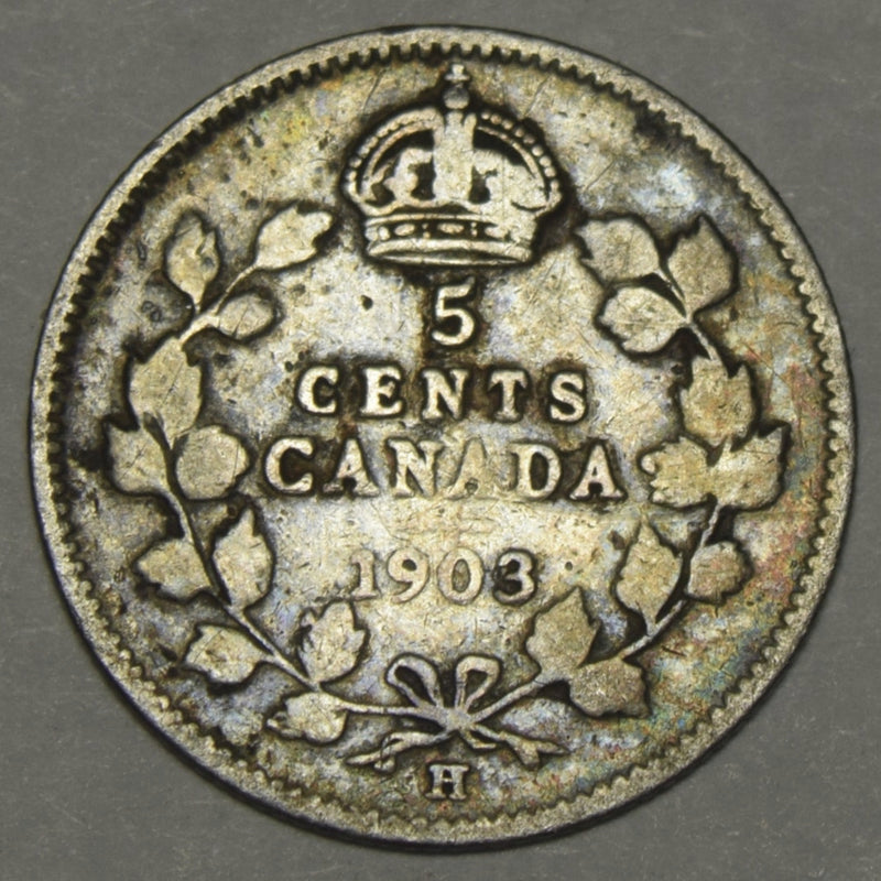 1903-H Large H Canadian 5 Cents . . . . Fine