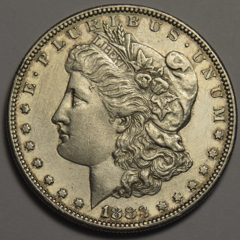1883-S Morgan Dollar . . . . Uncirculated cleaned
