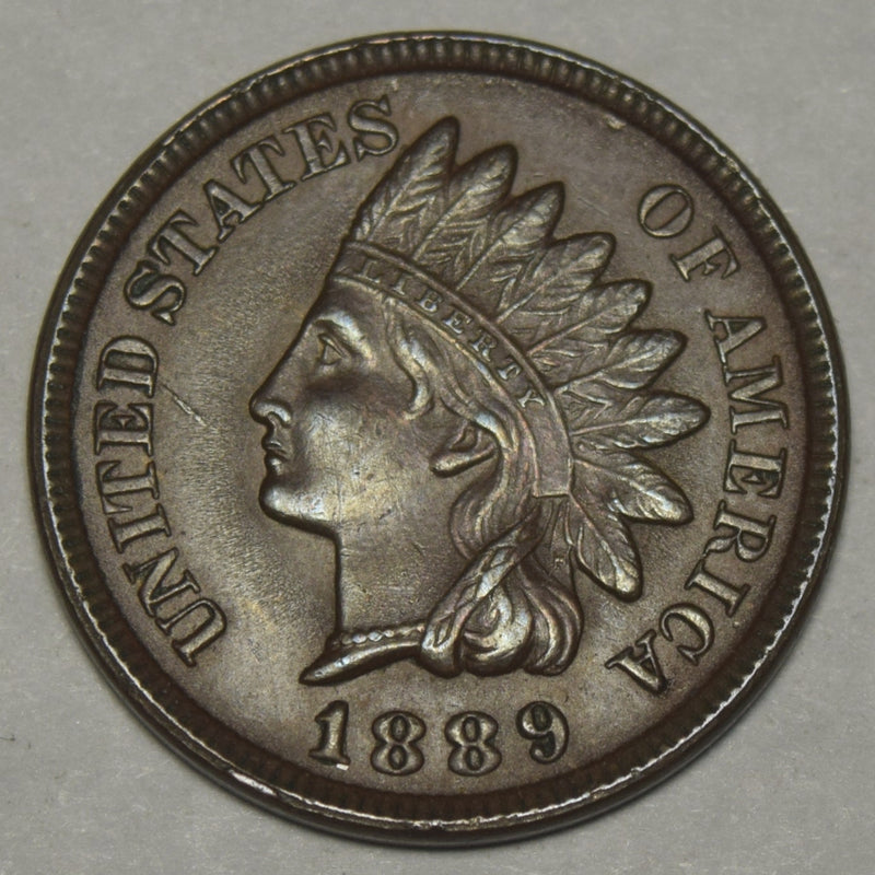 1889 Indian Cent . . . . Choice Uncirculated Brown