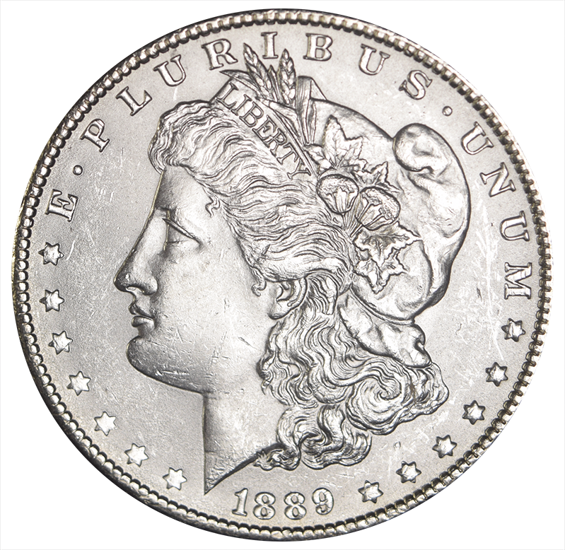 1889 Morgan Dollar . . . . Select Brilliant Uncirculated