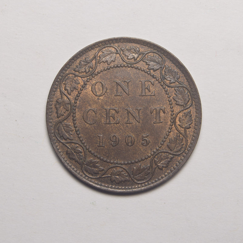1905 Canadian Cent . . . . Choice BU Red/Brown