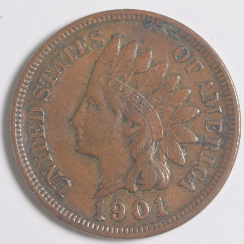 1901 Indian Cent . . . . Choice About Uncirculated