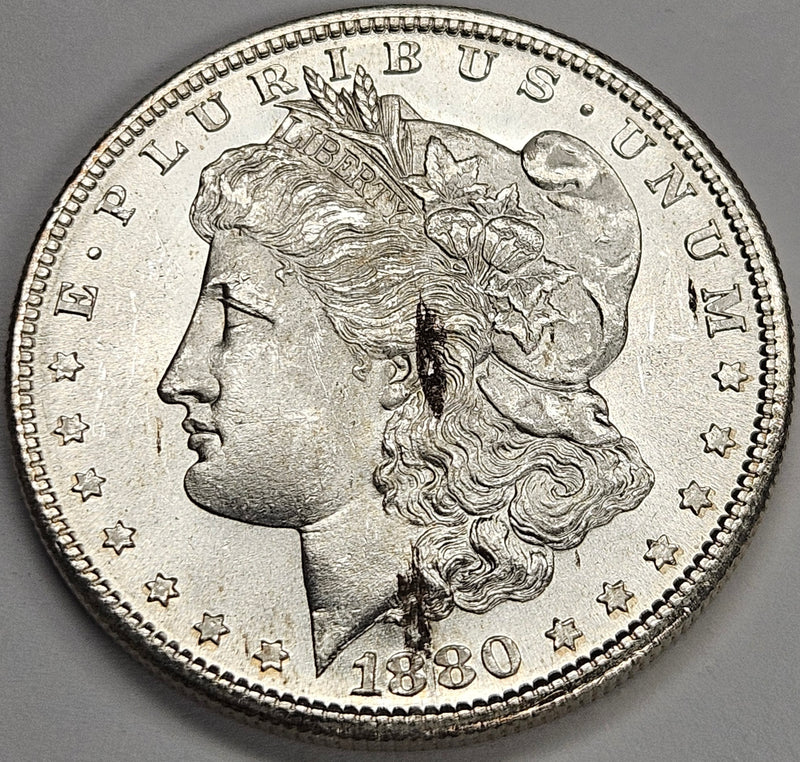 1880-S Morgan Dollar . . . . Choice BU wood chips