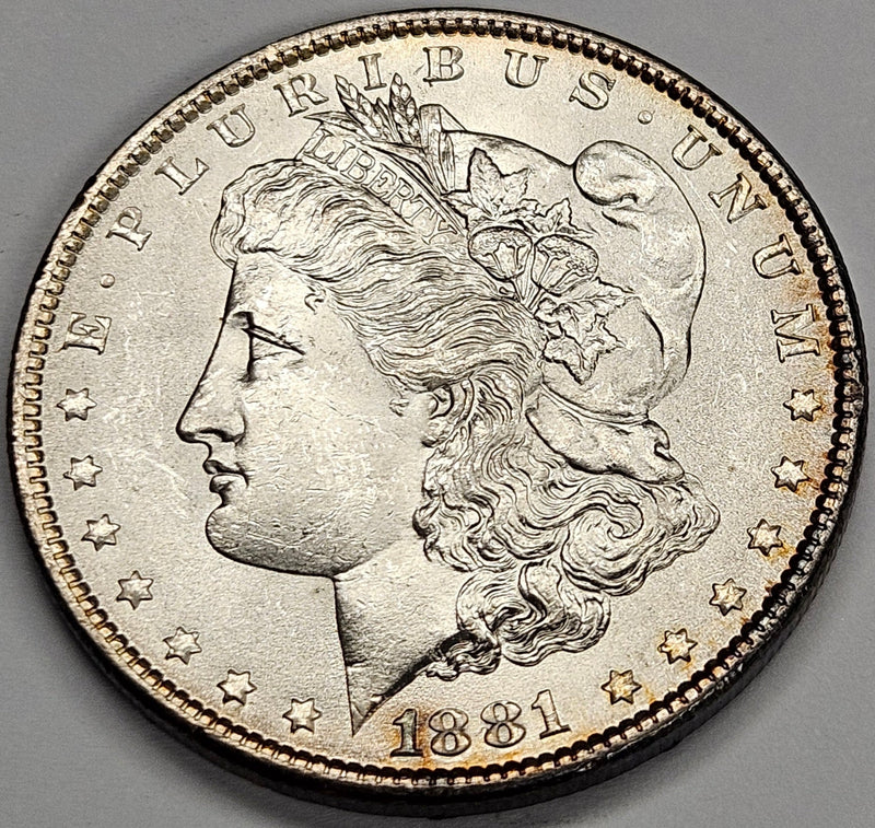 1881 Morgan Dollar . . . . Choice Brilliant Uncirculated