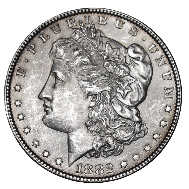 1882 Morgan Dollar . . . . Choice Brilliant Uncirculated