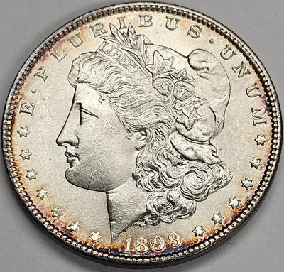 1899 Morgan Dollar Gem Brilliant Uncirculated