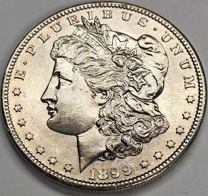 1899-S Morgan Dollar Select Brilliant Uncirculated