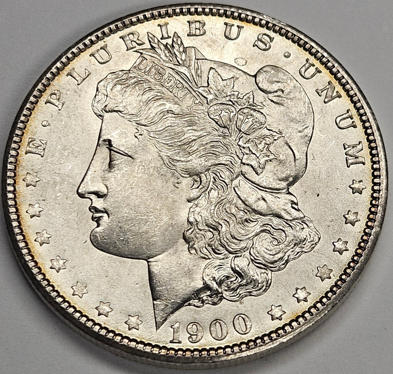 1900 Morgan Dollar . . . . Gem Brilliant Uncirculated