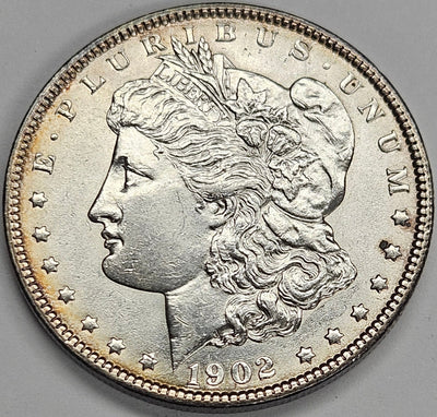 1902 Morgan Dollar Choice Brilliant Uncirculated