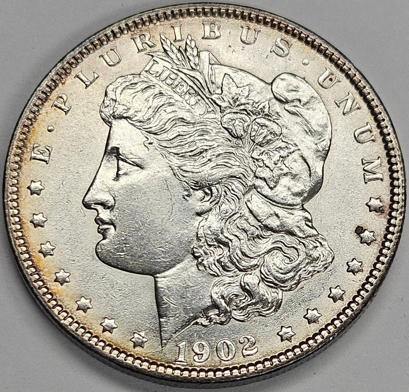 1902 Morgan Dollar Choice Brilliant Uncirculated