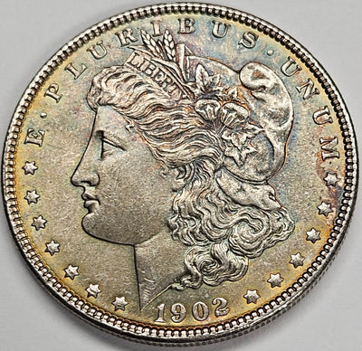 1902 Morgan Dollar Select BU Toned