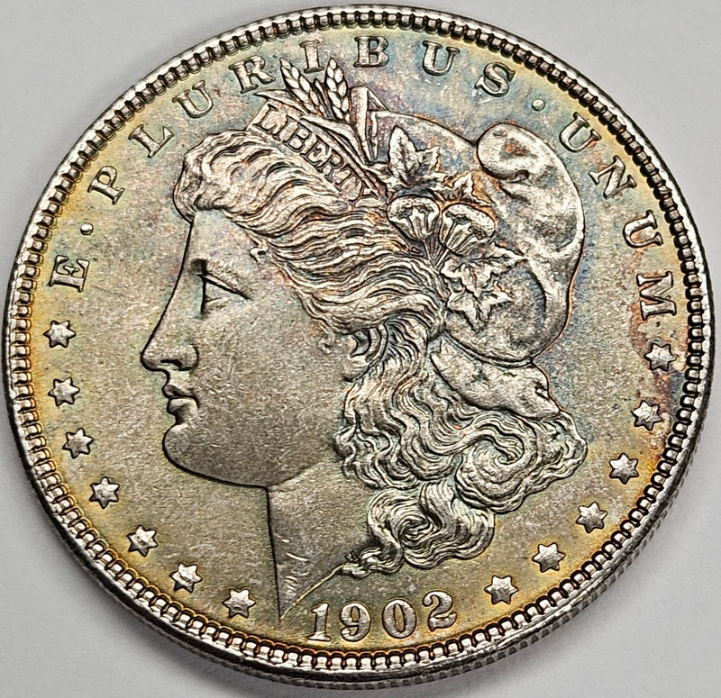1902 Morgan Dollar Select BU Toned