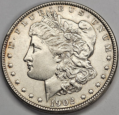 1902 Morgan Dollar Select Brilliant Uncirculated