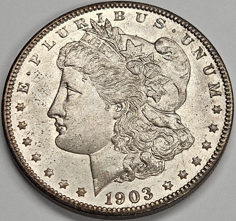 1903 Morgan Dollar . . . . Gem Brilliant Uncirculated
