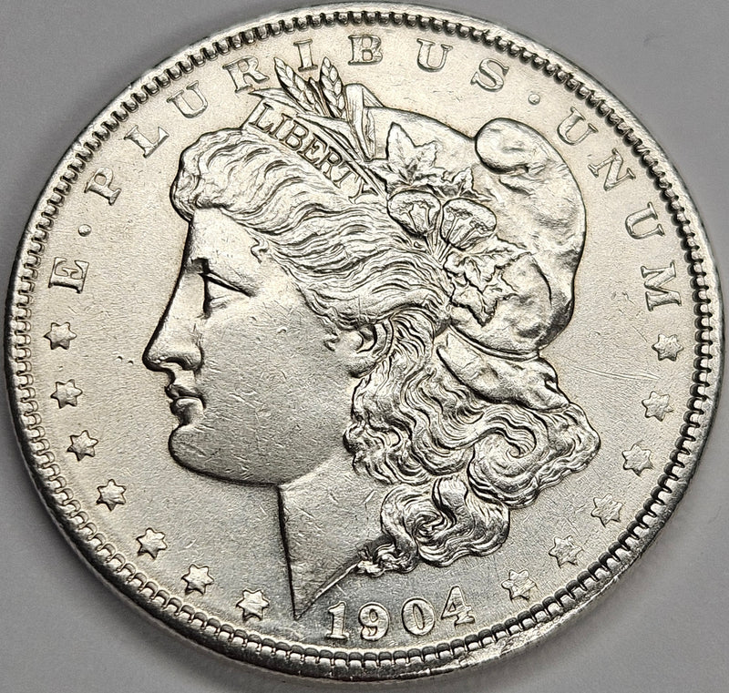 1904 Morgan Dollar . . . . Select Brilliant Uncirculated