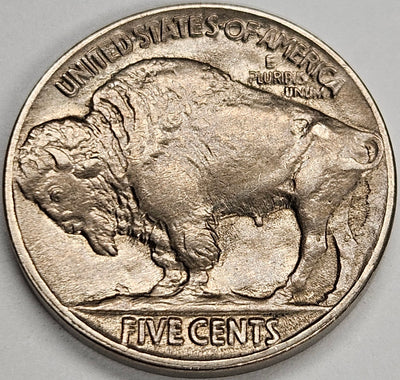 1919 Buffalo Nickel . . . . Select Brilliant Uncirculated