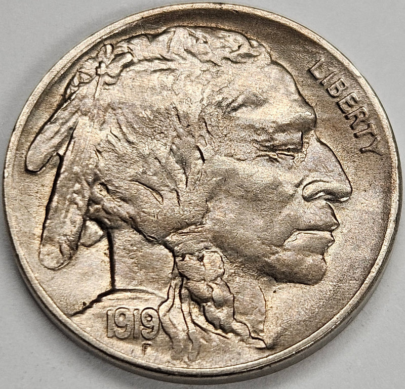 1919 Buffalo Nickel . . . . Select Brilliant Uncirculated