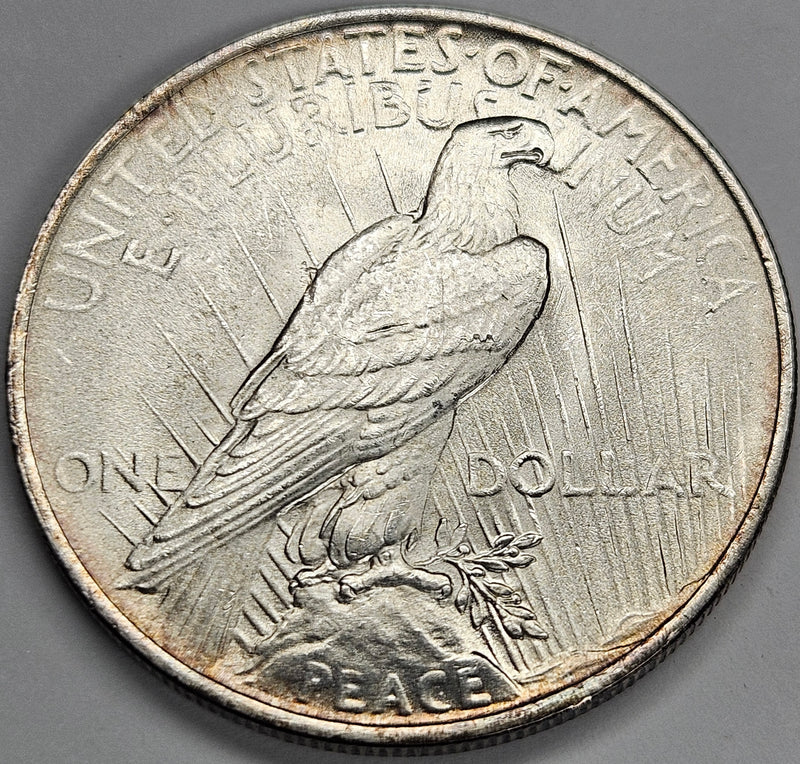 1923 Peace Dollar . . . . Choice Brilliant Uncirculated