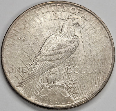 1924 Peace Dollar . . . . Choice Brilliant Uncirculated