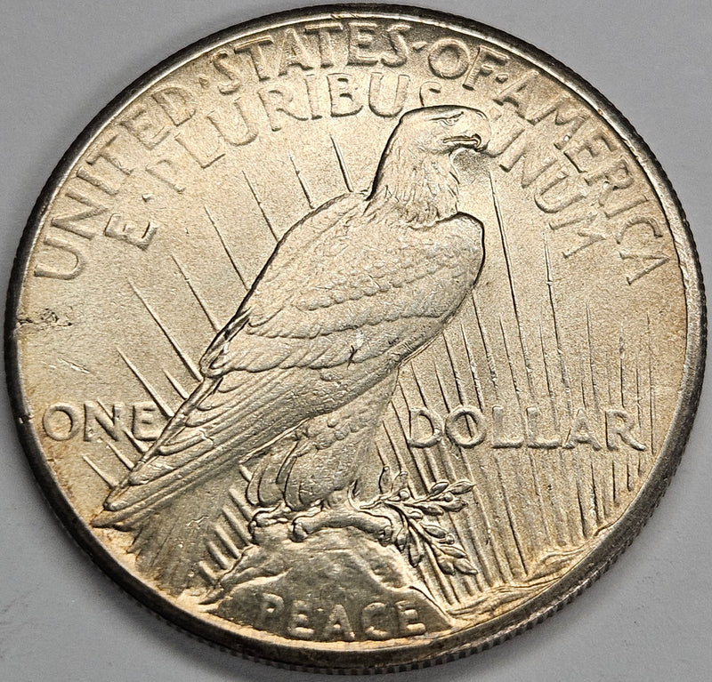 1928 Peace Dollar . . . . Select Brilliant Uncirculated