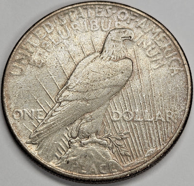 1935 Peace Dollar . . . . Choice About Uncirculated