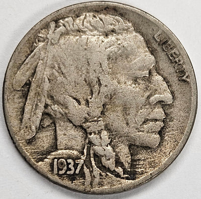 1937-D Buffalo Nickel Extremely Fine