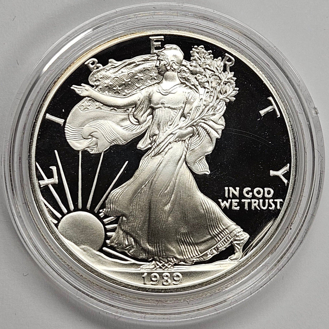 セオリー　2025 Regal Wool ウォルナットメランジ　S 美品 1989-S Silver Eagle Superb Brilliant Proof – Mount Vernon Coin