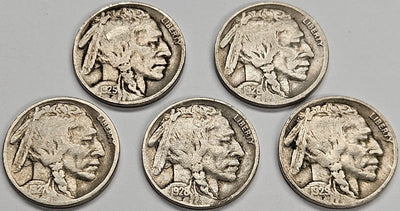 5 Different Buffalo Nickels 1925 to 1929 VG to Fine