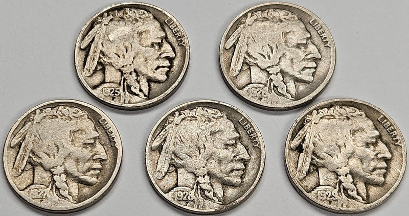 5 Different Buffalo Nickels 1925 to 1929 VG to Fine