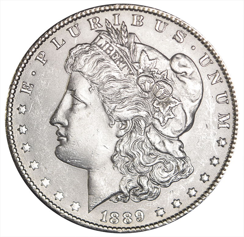 1889 Morgan Dollar Select Brilliant Uncirculated