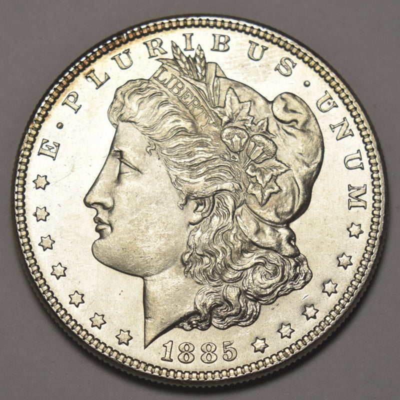 1885 Morgan Dollar . . . . Gem BU Prooflike Reverse