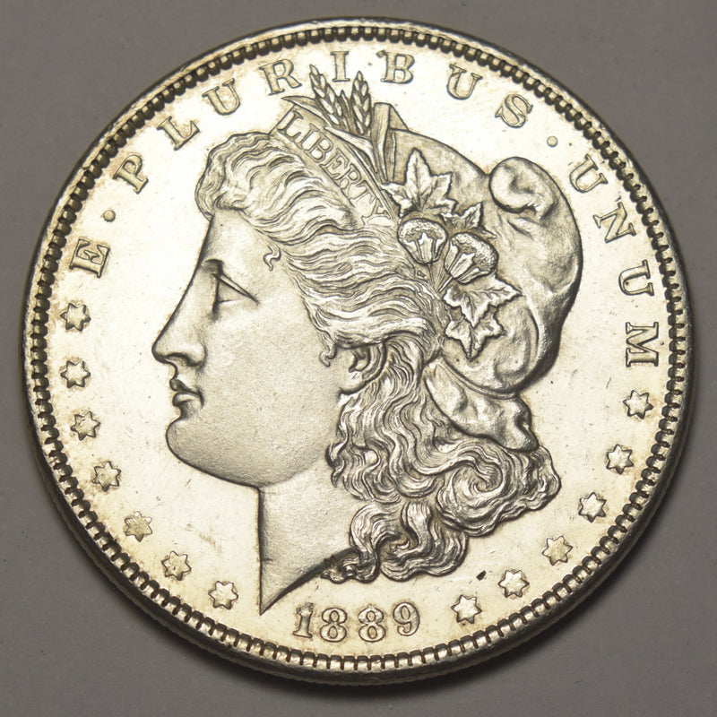 1889 Morgan Dollar . . . . Choice BU DMPL