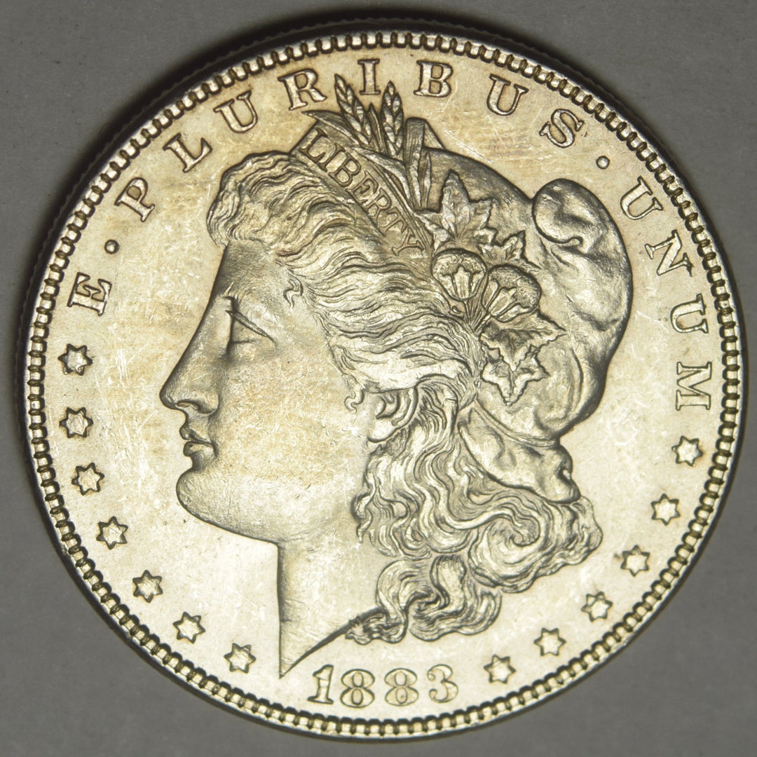1883 Morgan Dollar Select Brilliant Uncirculated – Mount Vernon Coin