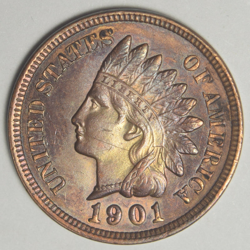 1901 Indian Cent . . . . Choice Uncirculated Brown