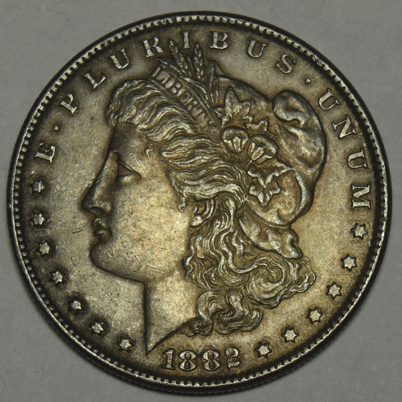 1882 Morgan Dollar . . . . Choice BU Dark Toning