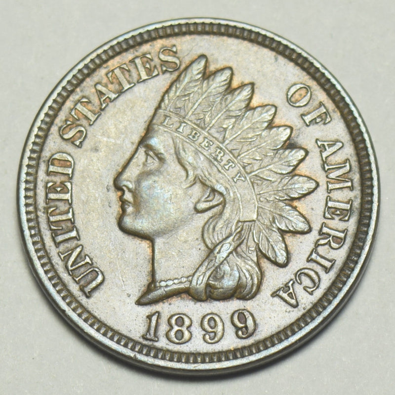 1899 Indian Cent . . . . Choice Uncirculated Brown