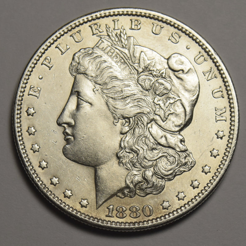 1880 Morgan Dollar . . . . Choice Brilliant Uncirculated