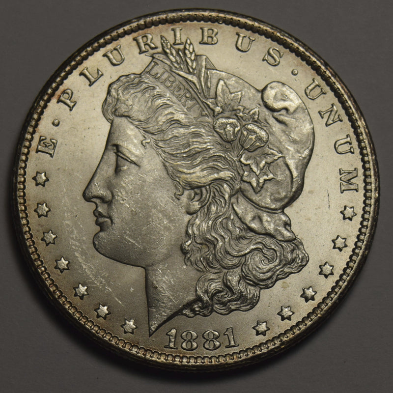 1881 Morgan Dollar . . . . Fine polished