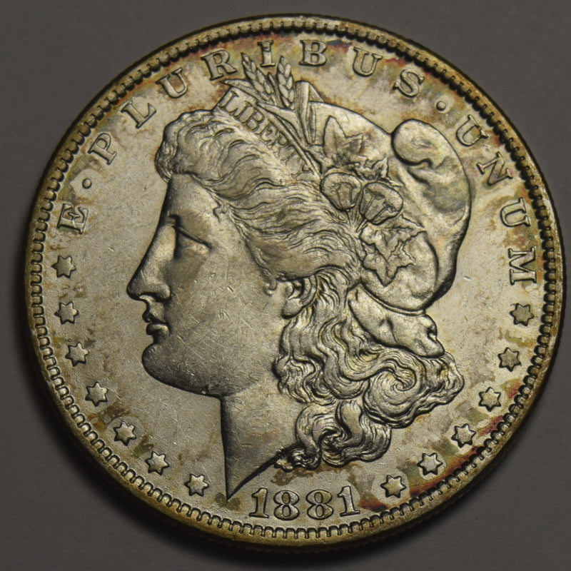 1881-CC Morgan Dollar . . . . Choice Brilliant Uncirculated
