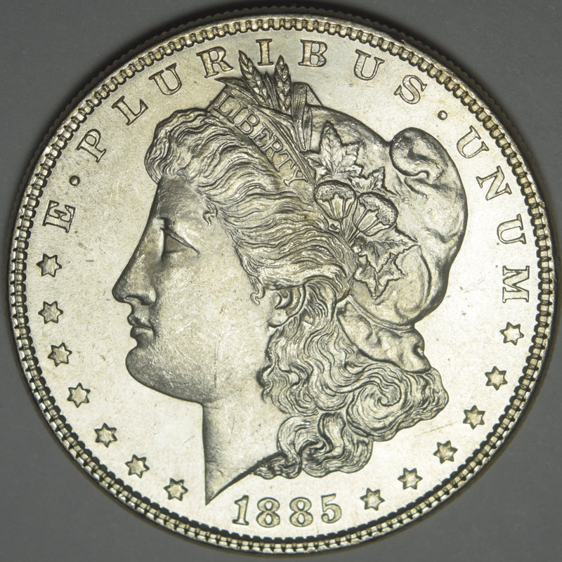 1885 Morgan Dollar . . . . Choice Brilliant Uncirculated