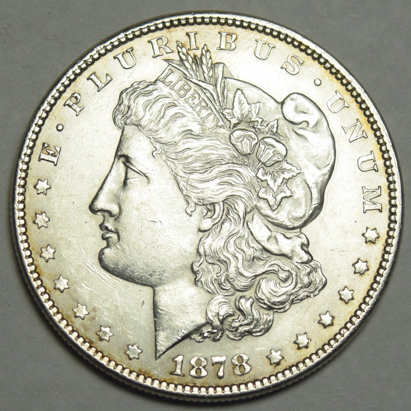 1878 7/8TF Morgan Dollar . . . . Select Brilliant Uncirculated