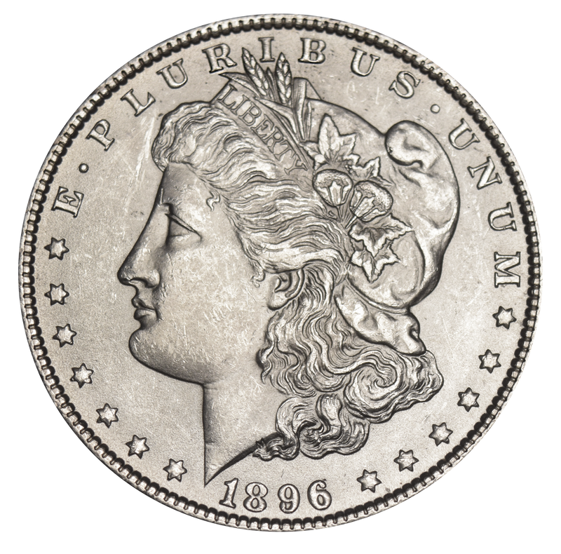 1896 Morgan Dollar . . . . Select Brilliant Uncirculated