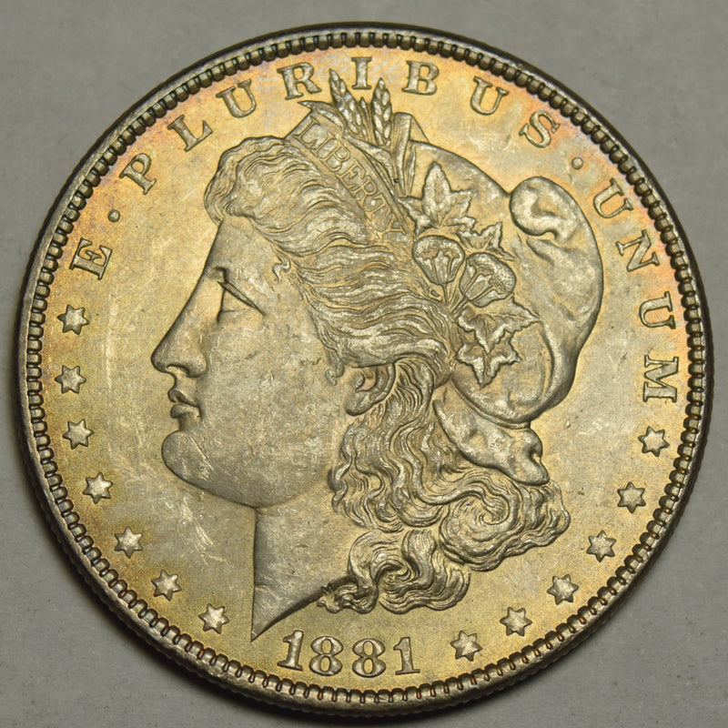 1881 Morgan Dollar . . . . Choice BU Toned