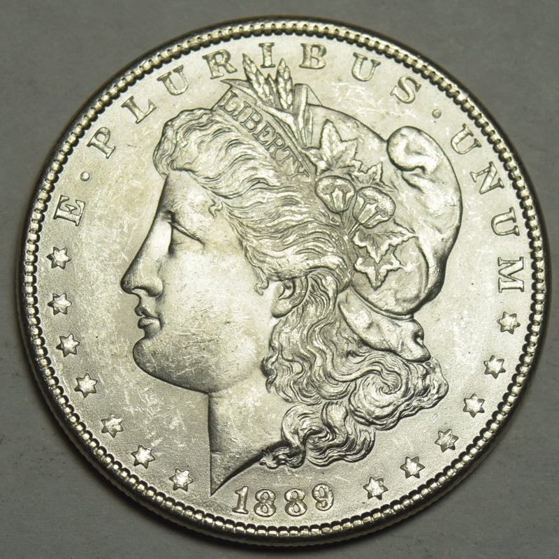 1889 Morgan Dollar . . . . Choice Brilliant Uncirculated