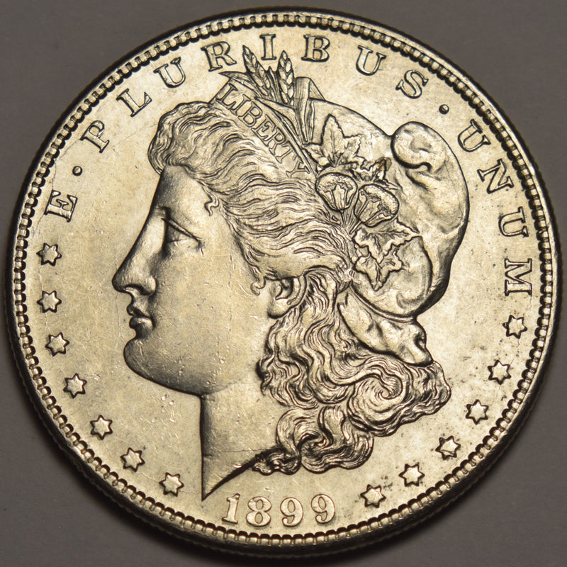 1899-S Morgan Dollar . . . . Select Brilliant Uncirculated