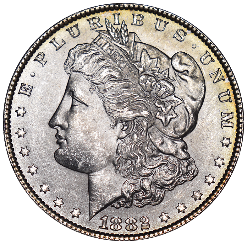 1882 Morgan Dollar . . . . Choice BU+ Toned Reverse
