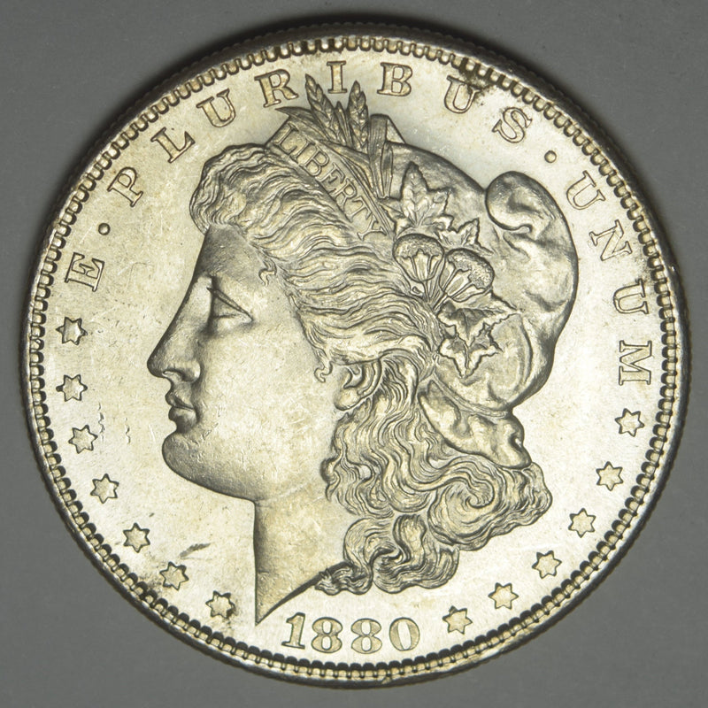 1880-S Morgan Dollar . . . . Choice Brilliant Uncirculated